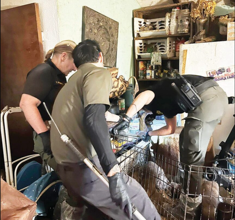 Mariposa Woman Arrested as Animal Control Officers Rescue 34 Dogs from ‘Unsanitary Home’