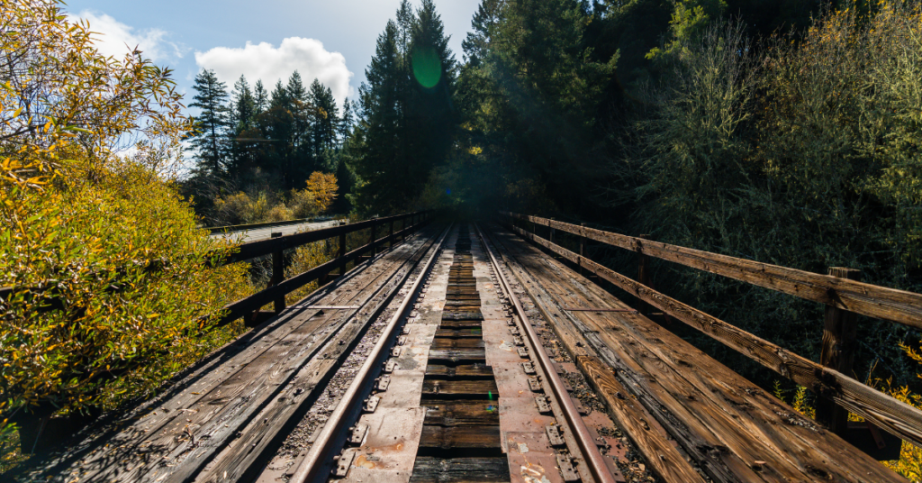 A 300-Mile Trail Through Northern California’s Redwoods Is One Step Closer to Reality