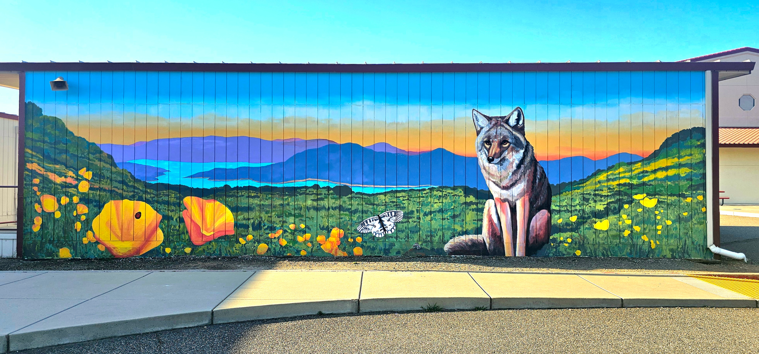 Artistic Evolution: The Dual Murals of Lake Don Pedro Elementary School