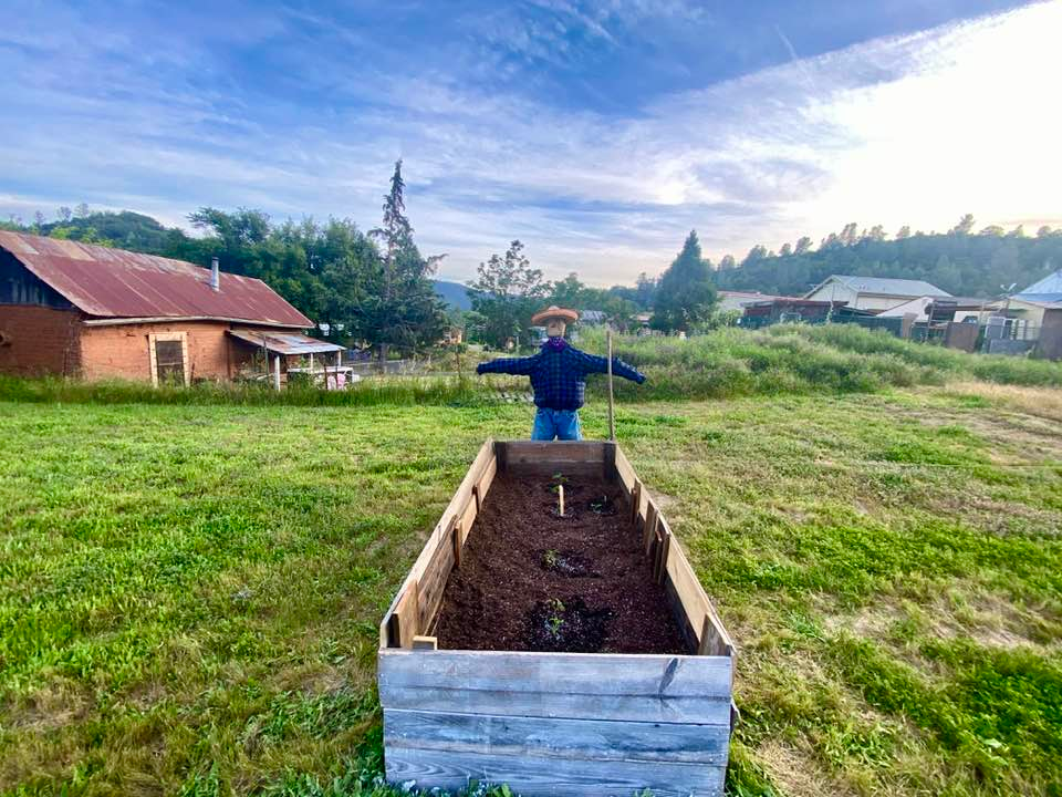 Community Garden Underway in Coulterville California